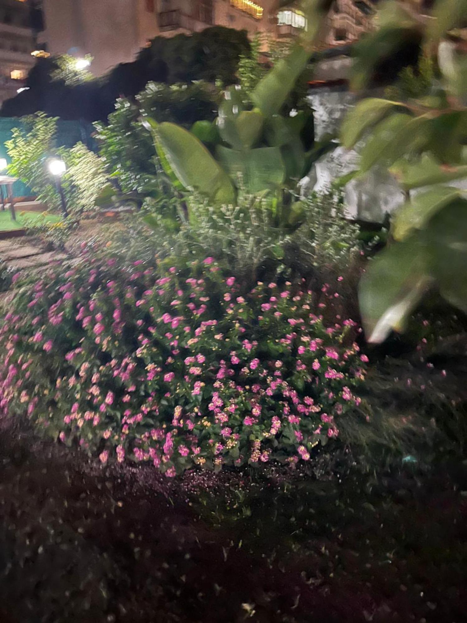 פלרמו Casetta Bianca מראה חיצוני תמונה